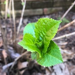 Meet your Posher, Leanne